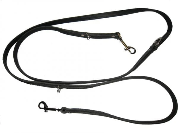 Euroleash